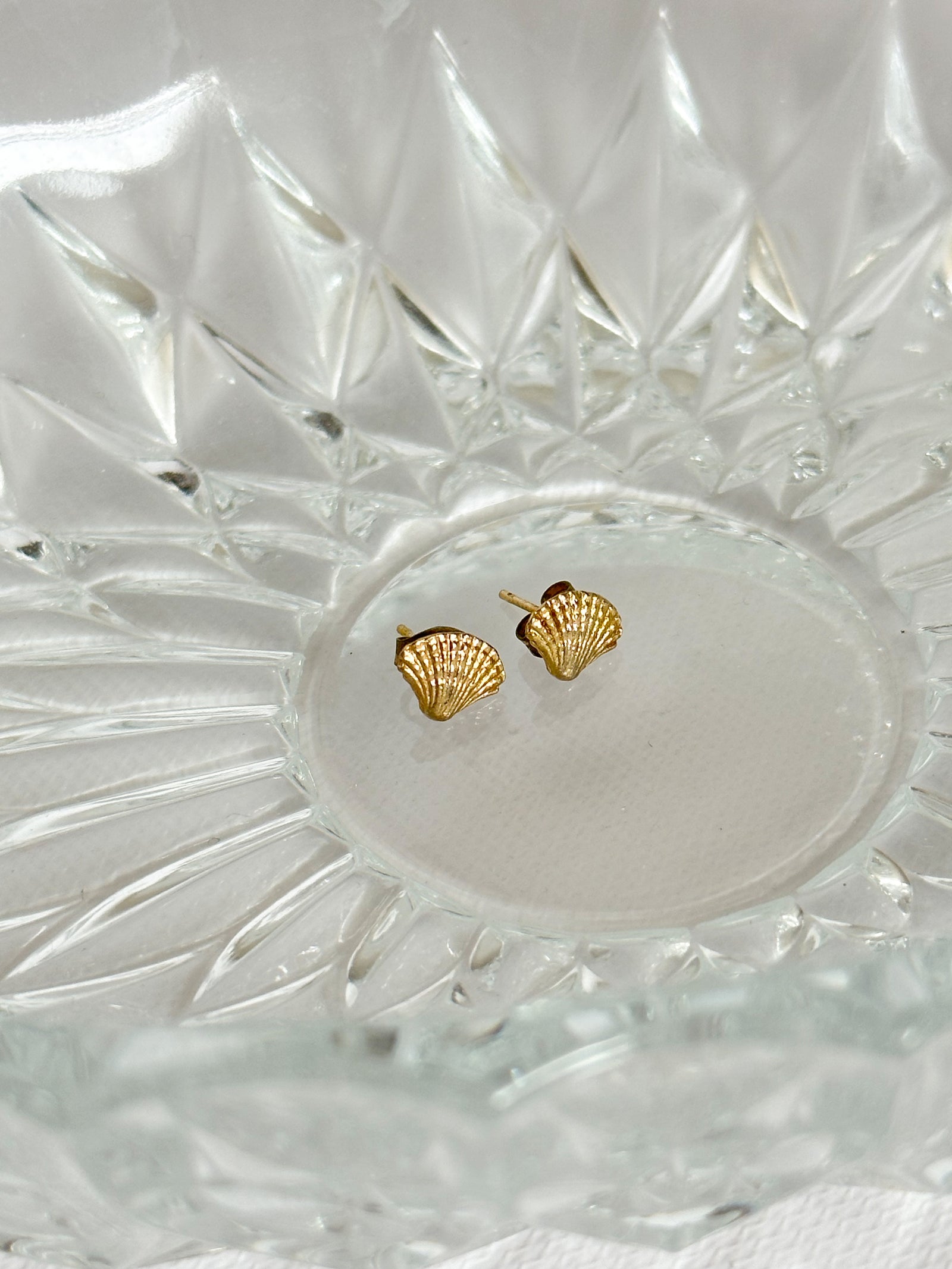 Gold Seashell Earrings